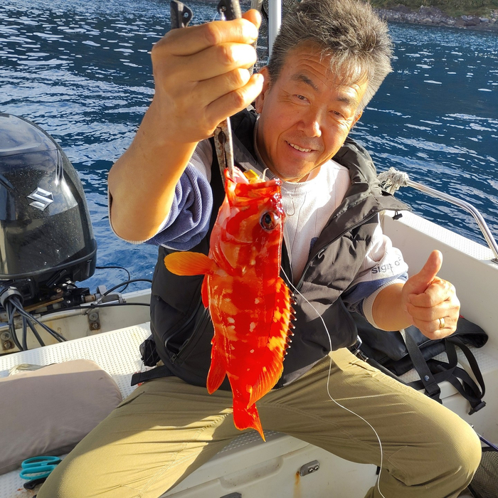 画像485